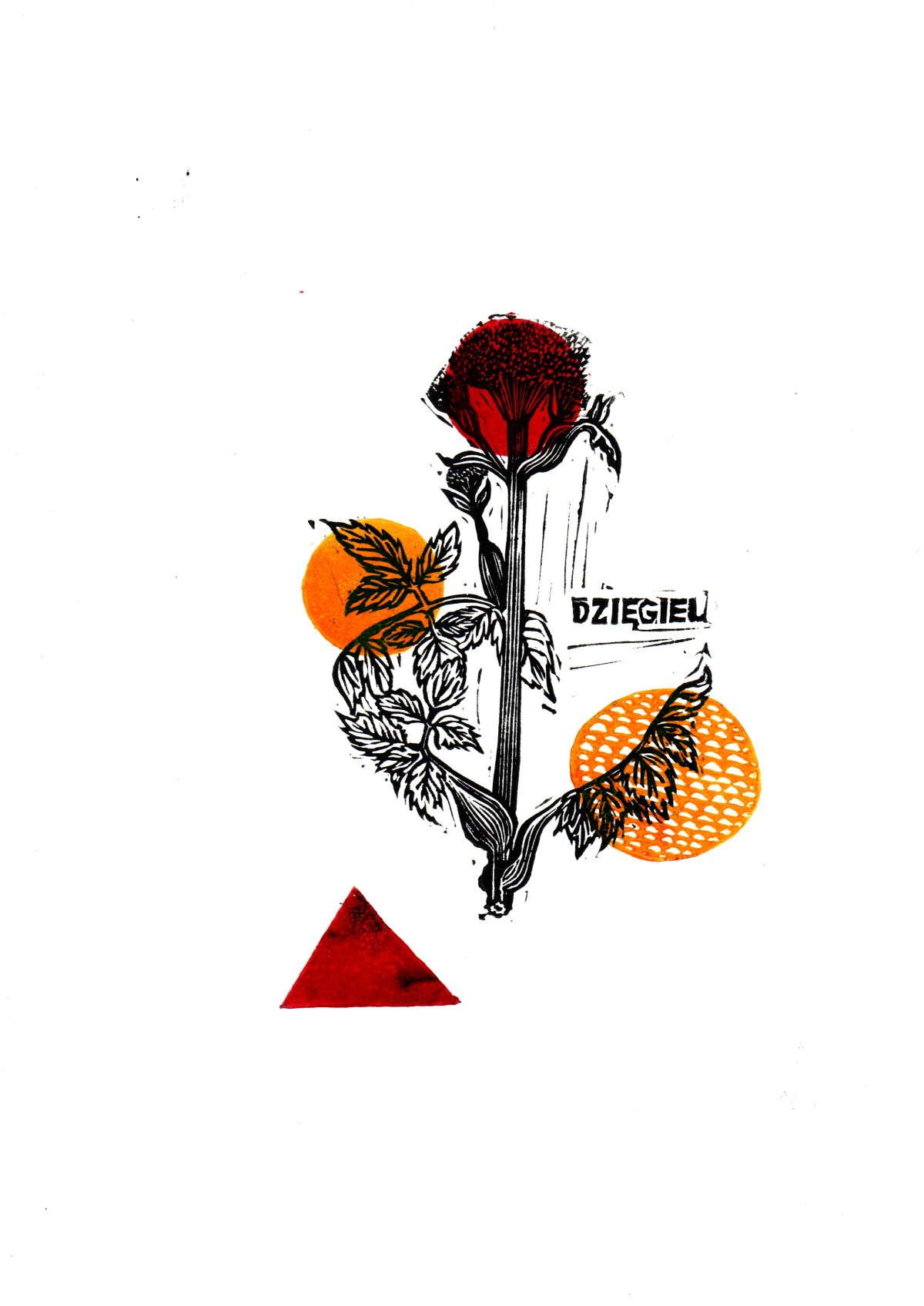 Linocut print Cholera by Sylwia Zawiślak, Disease festival, contemporary printmaking